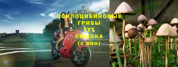 марки lsd Костерёво